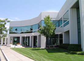 Commercial Building Landscape