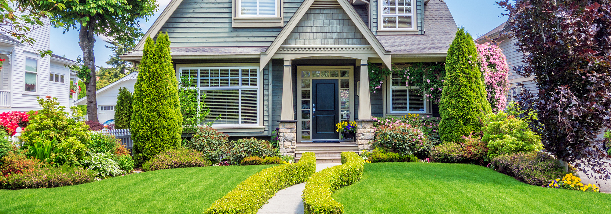 Best Tree Service in Warrenton, VA